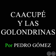 CAACUPÉ Y LAS GOLONDRINAS - Por PEDRO GÓMEZ - Domingo 7 de Diciembre de 2014